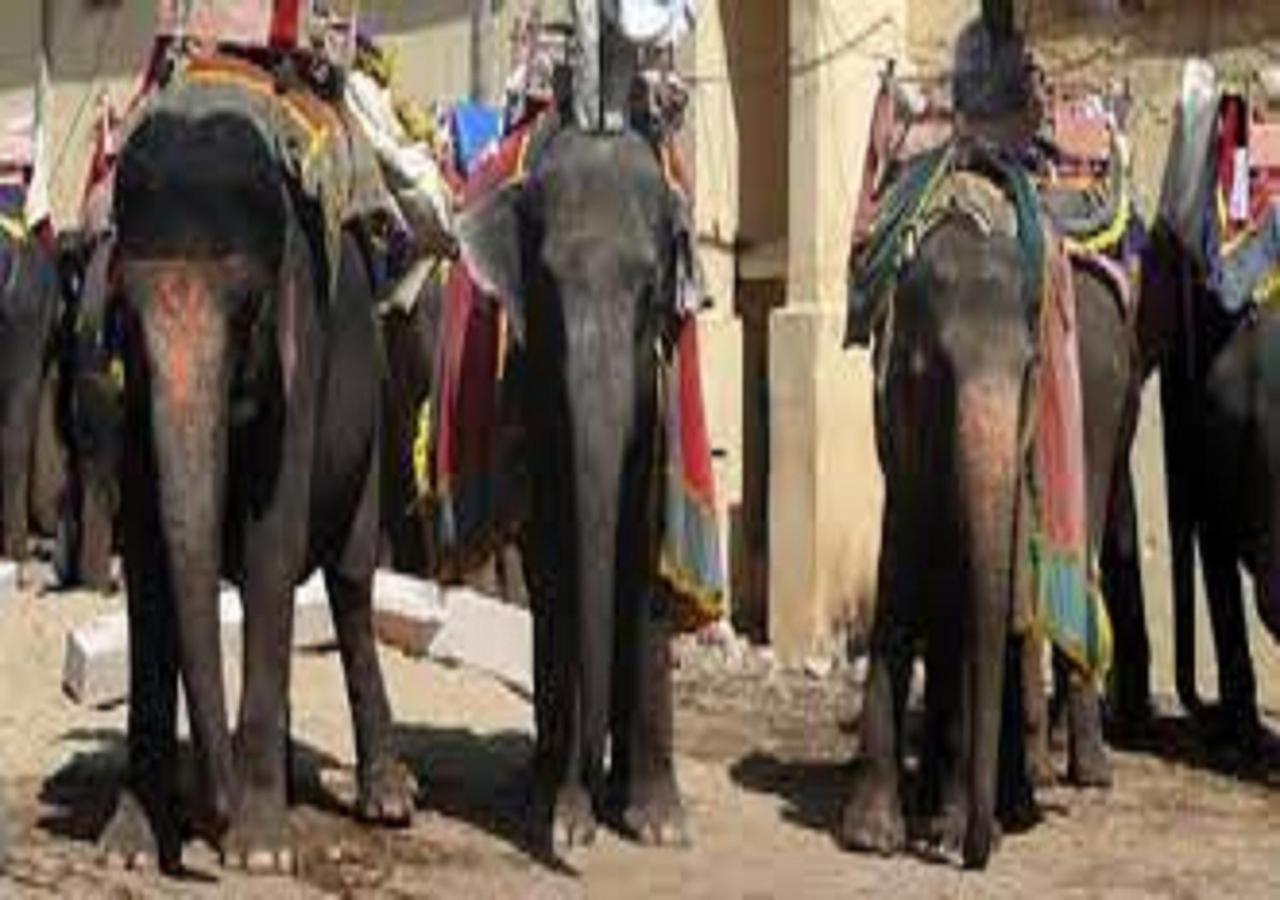 Mother Homestay Jaipur Ngoại thất bức ảnh
